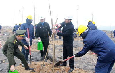 Quảng Ninh: Phát động Tết trồng cây đầu xuân 2023