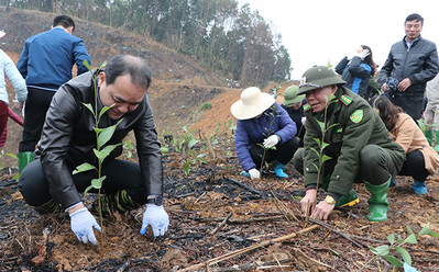 Yên Bái: Tổ chức Tết trồng cây xuân Quý Mão tại huyện Trấn Yên và Lục Yên