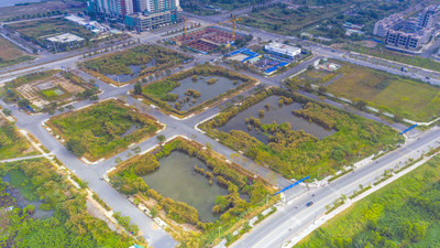 Quảng Nam đề nghị tạm dừng đấu thầu các dự án bất động sản mới
