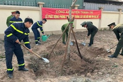 Hà Nội: Hưởng ứng Tết trồng cây Đời đời nhớ ơn Bác Hồ Xuân Quý Mão 2023