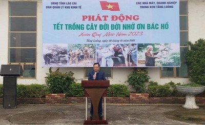 Lào Cai: Phát động Tết trồng cây đời đời nhớ ơn Bác Hồ