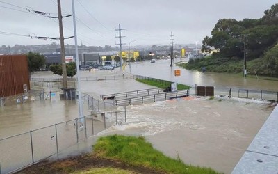 Auckland, New Zealand hứng chịu trận lụt tốn kém nhất lịch sử