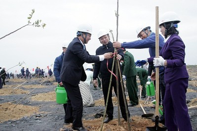Quảng Ninh đặt mục tiêu trồng 5 triệu cây xanh năm 2023