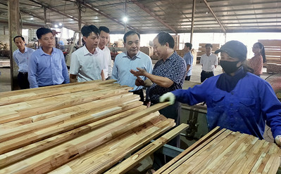 Yên Bái: Huyện Trấn Yên đẩy mạnh xây dựng hạ tầng khu, cụm công nghiệp