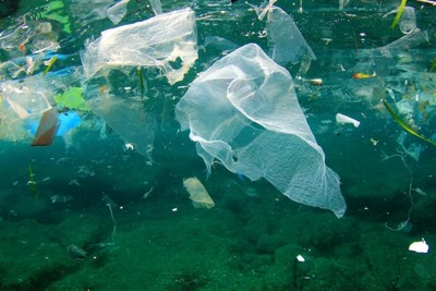 Quản lý rác thải nhựa đại dương ở một số nước và bài học kinh nghiệm cho Việt Nam