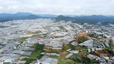 Lâm Đồng: Tháo dỡ hơn 97 ha nhà kính, nhà lưới trên đất lâm nghiệp