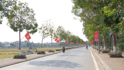 Hà Nội: 4 huyện đủ điều kiện đạt chuẩn nông thôn mới nâng cao