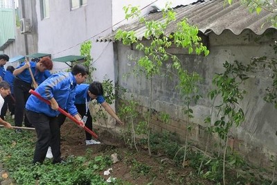 Khánh Hoà: Trường Đại học Nha Trang trồng hơn 400 cây xanh