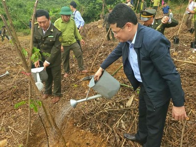 Thừa Thiên- Huế: Hưởng ứng “Tết trồng cây đời đời nhớ ơn Bác Hồ” xuân Quý Mão 2023
