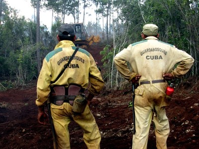 Cháy hơn 1.000ha rừng tại miền Đông Cuba