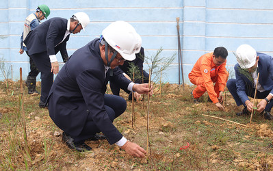 Tập đoàn Điện lực Việt Nam phát động Tết trồng cây năm 2023