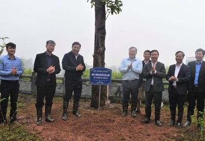 Tân Yên - Bắc Giang: Hưởng ứng tết trồng cây xuân Quý Mão 2023