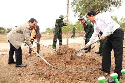 Bộ Tư lệnh Quân khu 3 phát động Tết trồng cây “Đời đời nhớ ơn Bác Hồ”