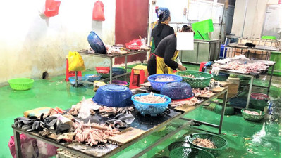 Phát hiện hơn 9 tấn thực phẩm không rõ nguồn gốc, xuất xứ tại Tân Yên, Bắc Giang