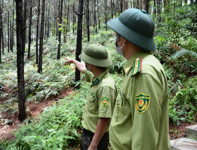 Kiểm lâm Hà Nội triển khai nhiều phương án bảo vệ rừng
