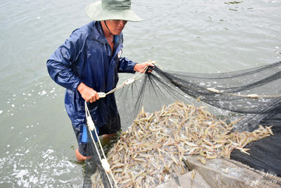 Thanh Hóa: Phát triển thủy sản thích ứng với biến đổi khí hậu