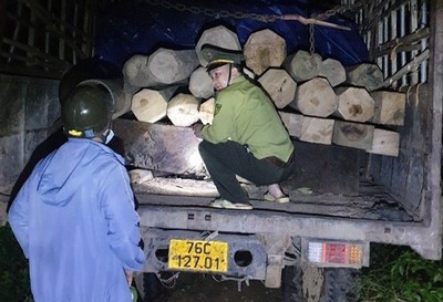 Bắt 2 đối tượng chở gỗ lậu tại huyện Bắc Trà My, Quảng Nam