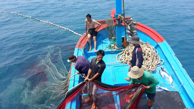 Kế hoạch hành động chống khai thác hải sản bất hợp pháp