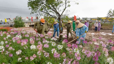 Tết trồng cây Xuân Quý Mão 2023 tại Khu Công nghiệp VSIP Quảng Ngãi