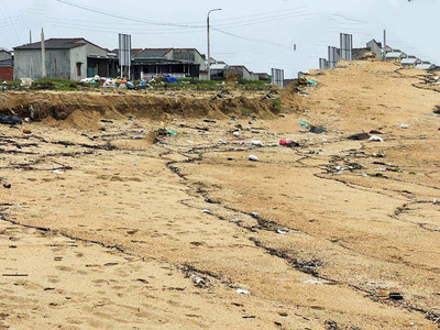 Quảng Ngãi: Sạt lở bờ biển nghiêm trọng