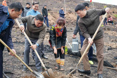 Lan tỏa phong trào “Tết trồng cây” ở Ba Chẽ, Quảng Ninh