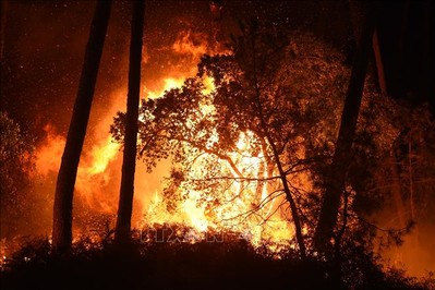 Đám cháy bao phủ 100h diện tích rừng ở miền đông Cuba