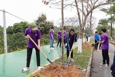 Trường Đại học Giáo dục - ĐH Quốc gia HN trồng cây cho Hòa Lạc thêm xanh
