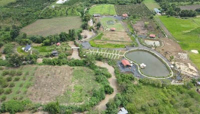 Huyện Cư Jut: Hướng dẫn thủ tục cưỡng chế Farm, nhà xây dựng trái phép trên đất nông nghiệp