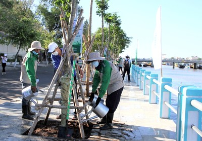Đẩy nhanh Kế hoạch trồng 10 triệu cây xanh trên địa bàn tỉnh Bình Thuận giai đoạn 2021 - 2025