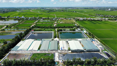 Thái Bình: Xử phạt Công ty Cường Thịnh gần 300 triệu đồng do vi phạm lĩnh vực bảo vệ môi trường