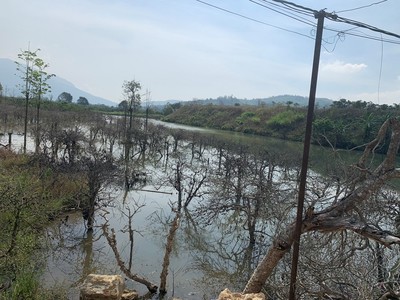 Đắk Nông: Yêu cầu báo cáo khắc phục sạt lở bờ sông Krông Nô
