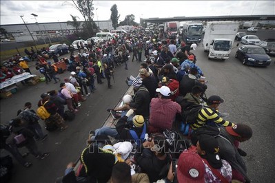 Bắt giữ xe tải chở 123 người nhập cư trái phép vào Mỹ