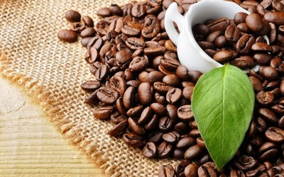 Giá cà phê hôm nay 6/3: Cập nhật giá cà phê Tây Nguyên và Miền Nam