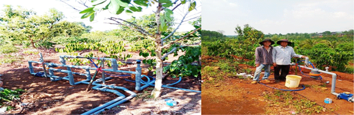 Đắk Nông: Bón phân thông qua nước tưới cho cà phê vối