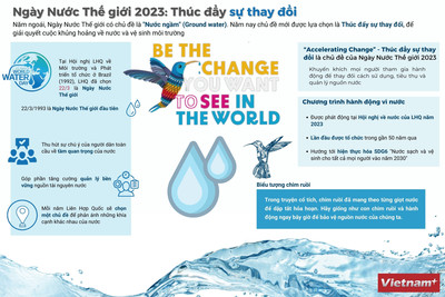 Ngày nước thế giới: Thúc đẩy sự thay đổi