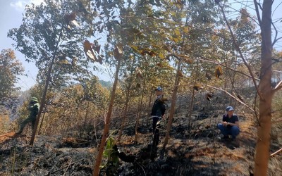 Kon Tum: Cháy rừng làm 2 người tử vong