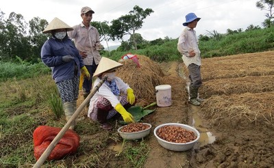 Phú Yên phấn đấu thực hiện mục tiêu quốc gia giảm nghèo bền vững