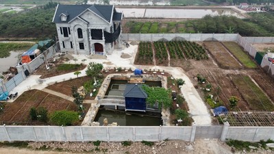 Hưng Yên: Cưỡng chế công trình, biệt thự “mọc” trái phép trên đất dự án chăn nuôi
