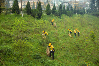 Ra quân dọn rác, trồng cây hướng tới kỷ niệm 120 năm Du lịch Sa Pa