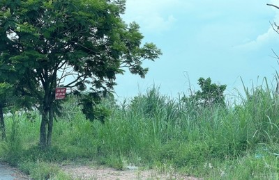 Quảng Ninh: Nhiều dự án trên "đất vàng" bị bỏ hoang