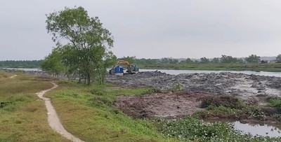 Đình chỉ thi công dự án gây thiệt hại nhiều diện tích rừng ngập mặn tại Thừa Thiên Huế