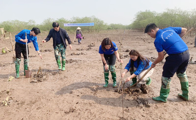 PVEP trồng 15.000 cây bần tại vùng bãi bồi ven biển huyện Thái Thụy, Thái Bình