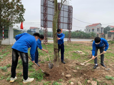 Huyện Tiên Du (Bắc Ninh) phấn đấu trồng 36.400 cây xanh các loại