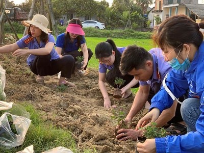 Hà Tĩnh: Đoàn Thanh niên xây dựng công trình đường hoa thanh niên