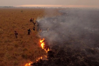 Hơn 6.000ha rừng tại Argentina bị thiêu rụi do nắng nóng, hạn hán kéo dài