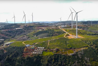 Buộc chủ đầu tư nhà máy điện gió Cầu Đất nộp gần 1,4 tỷ đồng