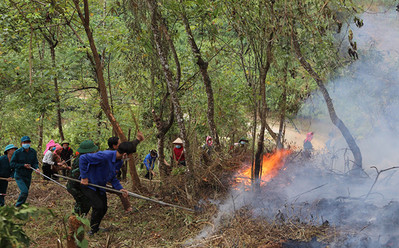 Yên Bái chủ động phòng cháy, chữa cháy rừng cao điểm mùa khô