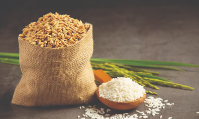 Giá lúa gạo hôm nay 23/3: Cập nhật giá lúa, giá gạo mới nhất hôm nay