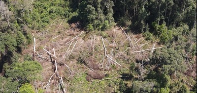 Đắk Nông gắn trách nhiệm của lực lượng Kiểm lâm với chủ rừng