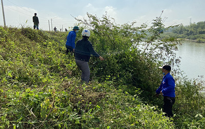Bình Định: Các cơ sở Đoàn cùng chung tay bảo vệ môi trường